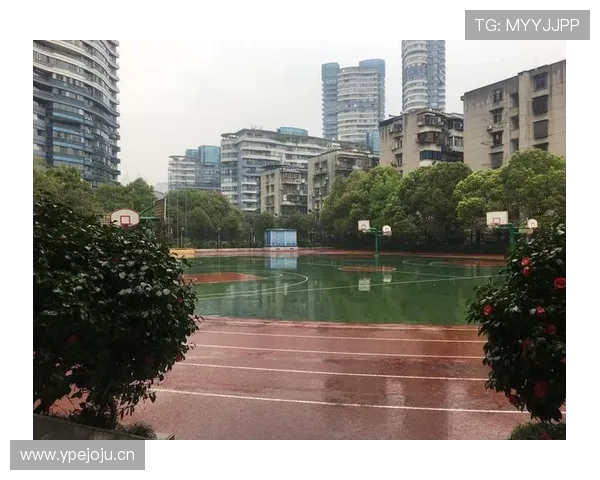 阿尔瓦雷斯多面手角色是否影响其核心能力的持续提升？